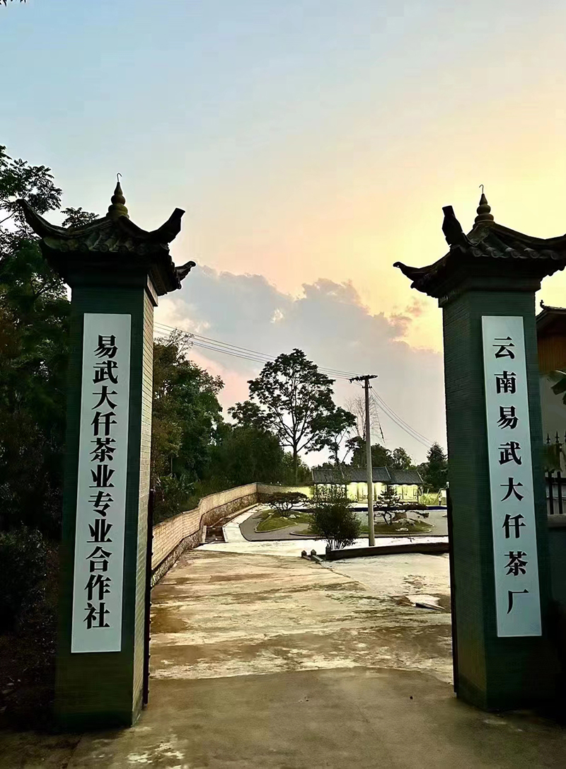 茶廠風(fēng)貌